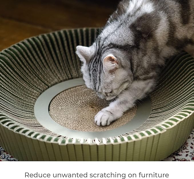 Nest Cat Scratcher Lounge Bed - for Rubbing, Resting, and Scratching (Assembled Bundle, Yosemite Green)
