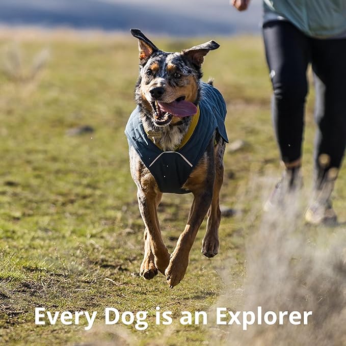 Ruffwear, Stumptown Quilted Dog Jacket, Insulated Water-Resistant Winter Coat with Reflective Trim & Leash Portal, Easy On/Off Buckles, Durable 300D Ripstop Cold-Weather Layer, Orion Blue, Medium