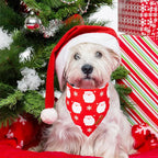 ADOGGYGO Christmas Dog Bandanas 2 Pack, Santa Deer Pattern Puppy Xmas Scarf Bib, Premium Durable Fabric, Pet Christmas Bandanas for Small Dogs (Small)