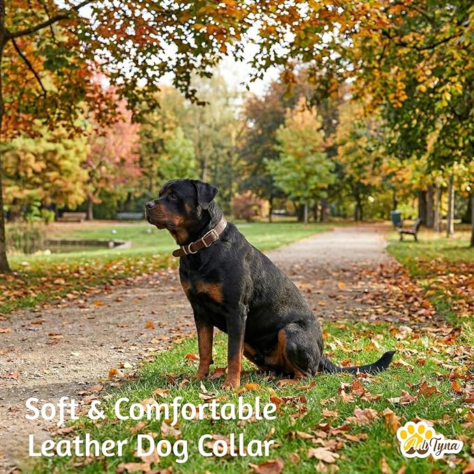 ADITYNA Black XL Leather Dog Collar for Extra-Large Dogs - Classic, Soft, Strong, Heavy Duty, Handmade Top-Grain Leather - for Walking, Training, and Hiking