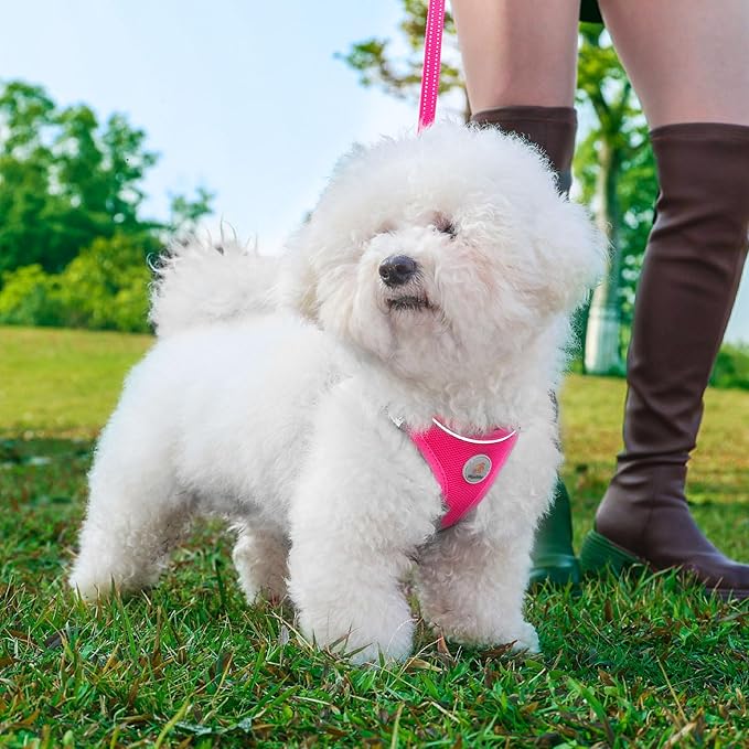 Hipubby Dog Harness and Leash Set, No Pull Soft Mesh Puppy Harness for Small Medium Dogs, Cats - Step in Reflective Breathable Lightweight Vest Harness for Walking, Training - Rose Red, XS