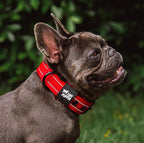 Tuff Pupper Heavy Duty Tactical Dog Collar | 1.25" Wide Ballistic Nylon | Reflective Stitching | Integrated ID Tag Holder | Stainless Steel Buckle | Padded Lining | Small & Medium Dogs (Red, Small)