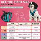 Gooby Comfort X Head-in Harness – Medium Dog Harness (9–15 lbs), Turquoise, No Pull, Choke-Free Design