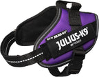 Julius-K9 IDC Powerharness, Size: XS/Mini-Mini, Dark Purple