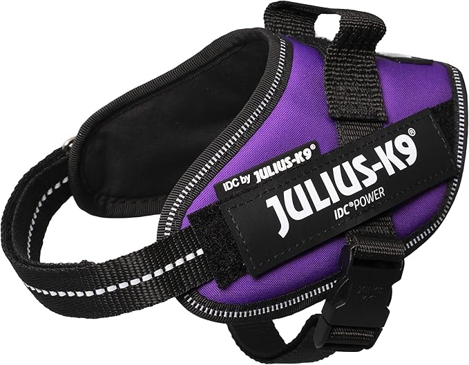 Julius-K9 IDC Powerharness, Size: XS/Mini-Mini, Dark Purple