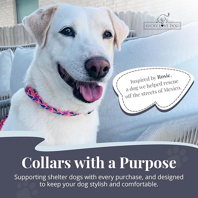 Lucky Love Dog - Easy Click Buckle Dog Collar with Leash Set Combo, Durable & Comfortable for Male & Female Dogs, Pet Collar for Small Dogs, Secure Fit - Floral Rosie Combo, Small