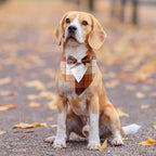 Fall Dog Tuxedo Bandana, Orange Plaid Pet Collar with Bowtie, Adjustable Halloween Thanksgiving Dog Tux Costume for Small to Extra Large Pets