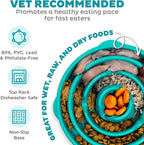 Outward Hound Fun Feeder Slo Bowl – Large 4‑Cup Capacity, Slow Feeding, Medium to Large Dogs, Non‑Slip, Turquoise, Drop Pattern