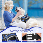 Service Dog Vest Harness and Leash Set, Animire in Training Dog Harness with 10 Dog Patches, Reflective Dog Leash with Soft Padded Handle for Small, Medium, Large, and Extra-Large Dogs (Blue, XS)