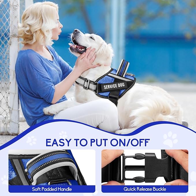 Service Dog Vest Harness and Leash Set, Animire in Training Dog Harness with 10 Dog Patches, Reflective Dog Leash with Soft Padded Handle for Small, Medium, Large, and Extra-Large Dogs (Blue,M)