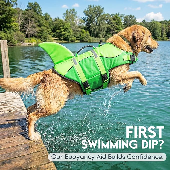 ASENKU Dog Life Jacket - Pet Safety Vest for Swimming & Boating, Shark Life Jacket with Floatation, Dog Lifesavers Swimsuits for Small Medium Large Dogs (Neongreen, 2XL)