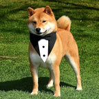 Dog Tuxedo Suit, Bandana Collar with Bow Tie, Doggy Prince Bow Tie Shirt Formal Pet Wedding Attire, Dog Outfits for Large Dogs, Dogs Adjustable Bows Ties for Wedding Birthday Valentines (L, Black)