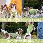 KYEESE 2Pack Dog Shirt, Soft Striped Dogs T Shirts, Lightweight Doggie Tank Top Cat Clothes, Sleeveless Dog Shirt for Small Dogs, Stretchy Pet Vest, Green, Small