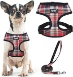 PUPTECK Soft Mesh Dog Harness and Leash Set Pet Puppy Cat Comfort Padded Vest No Pull Harnesses, Red Mixed, XS
