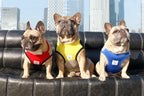iChoue French Bulldog Summer Cooling Shirt for Dogs UV Sun Protection Vest Sleeveless Breathable Tank Top English Pug Pink Green - Large