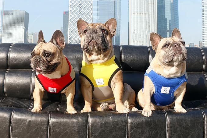 iChoue French Bulldog Summer Cooling Shirt for Dogs UV Sun Protection Vest Sleeveless Breathable Tank Top English Pug Pink Green - Small
