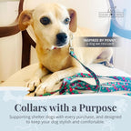 Lucky Love Dog - Adjustable Dog Collar with Easy Click Buckle for Small Dogs, Durable, & Comfortable for Male & Female Dogs, Pet Collar for Puppies & Adult Ones - Penny, Small