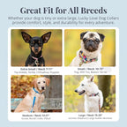 Lucky Love Dog - Adjustable Dog Collar with Easy Click Buckle for Small Ones, Durable, & Comfortable for Male & Female Dogs, Pet Collar for Puppies & Adult Dogs - Laguna, XS