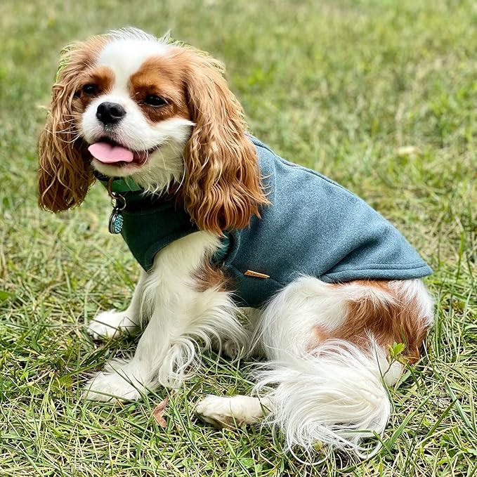 Gooby Zip Up Microfiber Fleece Dog Sweater - Turquoise, Large - Warm Double Layered Soft Microfiber Fleece Step-in Dog Jacket for Small to Medium Dogs
