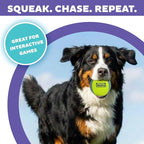 Outward Hound FlyFetch Squeak Ball Dog Toy, Extra‑Loud Squeaker, Durable Foam Core, Floats in Water, All Breeds, 4"