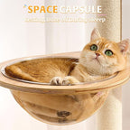 HITTITE Solid Wood Cat Tree Tower with Scratching Post, 61 Inches Tall Cat Towers with Capsule and Condo, Modern Cat Tower with Climbing Ladder and Removable Top Bed for Indoor Cats.