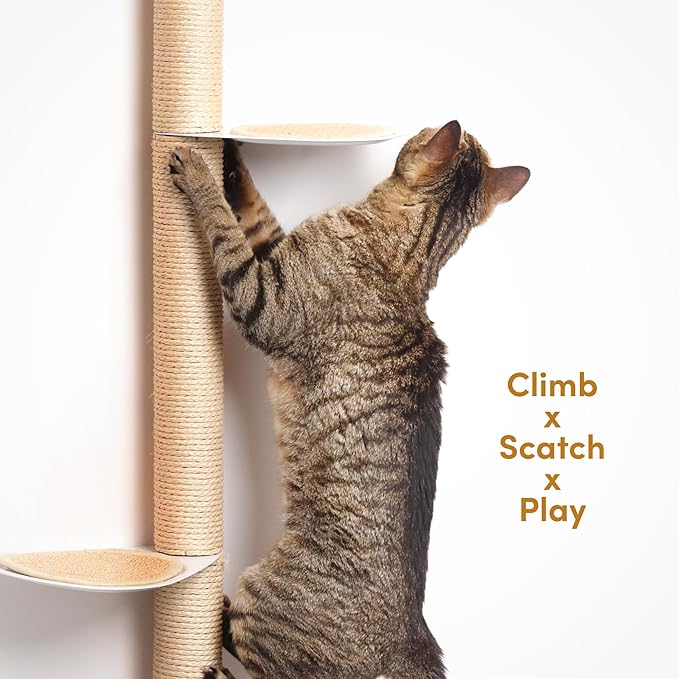 34" Wall-Mounted Cat Tree – Modern Space-Saving Cat Shelf with Sisal Scratching Post & Steel Climbing Steps – Stylish Cat Wall Furniture for Small Spaces