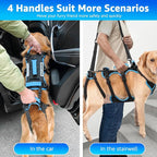 Dog Lift Harness for Medium Male Dogs Friendly, 2 in 1 Detachable Support Harness, Full Body Dog Carrying with 4 Handles for Old/Disabled/Joint Injuries Dogs (Black, Medium)