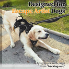rabbitgoo Escape Proof Dog Harness, Soft Padded Full Body Pet Harness, Reflective Adjustable No Pull Vest with Lift Handle and Leash Clip for Large Dogs Walking Hiking Training, M, Black