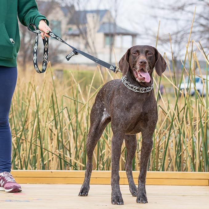 Pinch Collar for Dogs Adjustable Dog Training Collar with Comfortable Rubber Tip and Quick Release Buckle for Small Medium Large Dogs (Medium, Teal)