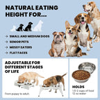 MalsiPree Elevated Dog Bowls - Puppy Adoption Gifts & Cute Puppy Accessories - Raised Feeding Station & Stainless Steel Bowls - Food and Bowls Set - Dog Birthday Gifts for Small Pets - White