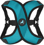 Gooby Comfort X Step in Lite Dog Harness - Choke Free, Escape Free with Light Breathable Mesh - Dog Harness for Small and Medium Breeds - Quick Release Buckle, Metal D-Rings - Turquoise, Small