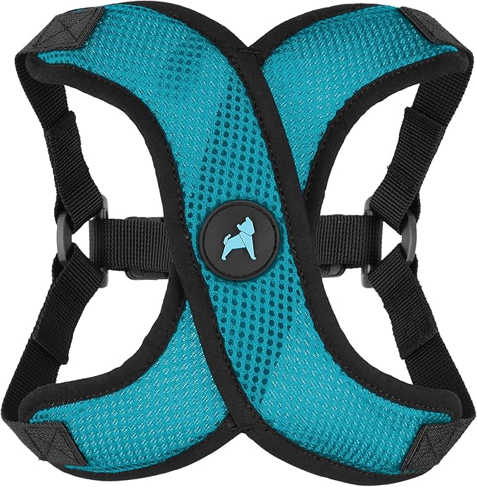 Gooby Comfort X Step in Lite Dog Harness - Choke Free, Escape Free with Light Breathable Mesh - Dog Harness for Small and Medium Breeds - Quick Release Buckle, Metal D-Rings - Turquoise, Medium