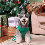 CuteBone Elf Dog Dresses Velvet Holiday Small Dogs Clothes Onesie Pet Apparel Girl Puppy Skirt with Bow Hair Rope CVA55XXS-D