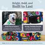 Lucky Love Dog - Adjustable Dog Collar with Easy Click Buckle for Large Ones, Durable, & Comfortable for Male & Female Dogs, Pet Collar for Puppies & Adult Dogs - Blackbird, Extra Large