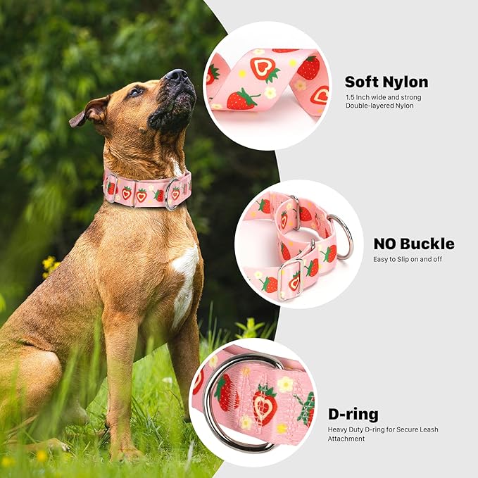 Pink Strawberry Martingale Collar for Dogs, Heavy Duty Adjustable Soft Nylon Dog Collars with for Medium & Large XL Dogs (Pink Strawberry,M)