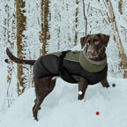 IECOii Dog Winter Coat Reflective Adjustable Dog Jacket Dog Coat with Buckle Fleece Turtleneck for Cold Weather Soft Winter Coat for Small Medium Extra Large Dogs, Army Green