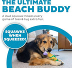 Outward Hound by Charming Pet Squawkers Grandma Hippie Chick Latex Squeaky Rubber Chicken Dog Toy, Funny Interactive Holiday Toy for Dogs, Large Size