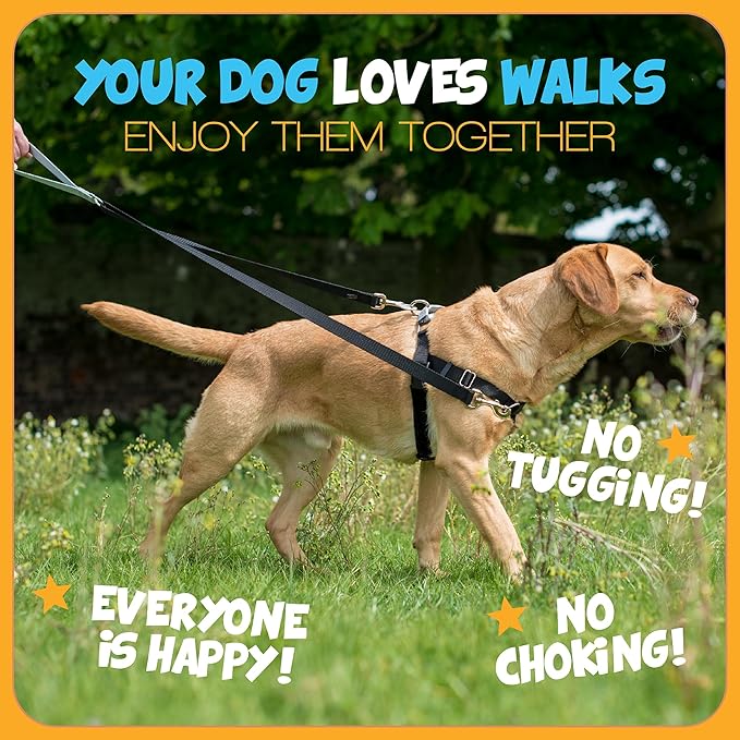 2 Hounds Design - Freedom No-Pull Harness & Training Leash in Tie-Dye | Dual Leash Loops, No Pulling on Walks | Lined to Prevent Chaffing | for Large Sized Dogs (Size M, Chest 24”- 28”)