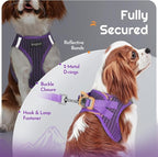 Eagloo Small Dog Harness and Leash Set, Step in Puppy Vest with Breathable Soft Mesh, Walking Reflective Pet Harness for Small Dogs, Pink, S