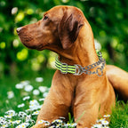 Reflective Martingale Dog Collar - Heavy Duty no Pull with Dual D-Rings, Adjustable Choke Chain Collar with Soft Padded Training for Large/Medium/XL Dogs (Green XL)