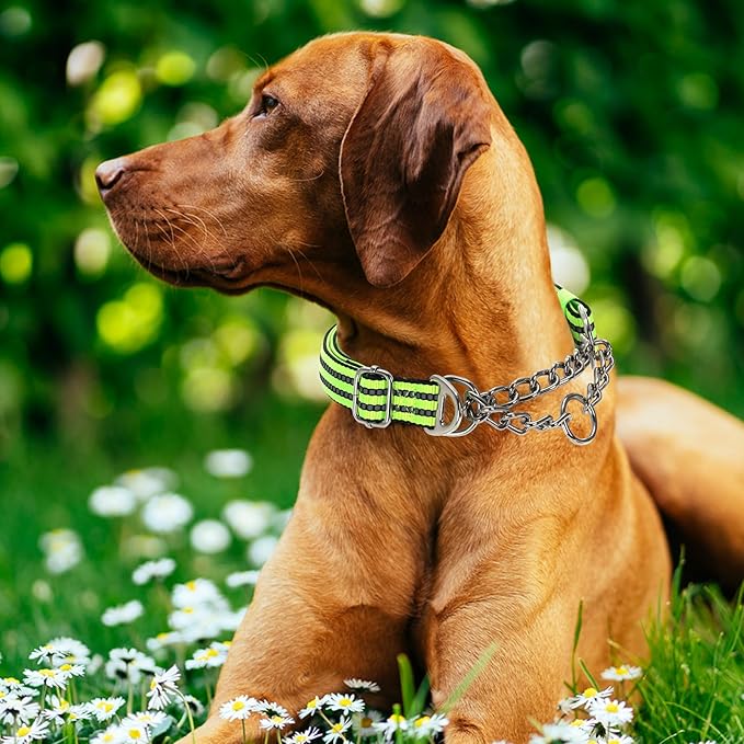 Reflective Martingale Dog Collar - Heavy Duty no Pull with Dual D-Rings, Adjustable Choke Chain Collar with Soft Padded Training for Large/Medium/XL Dogs (Green XL)