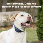 PetSafe Pro Dog Trainer with Remote - Effective Dog Training - 15 Levels of Static Correction - Waterproof Collar - Rechargeable Training Collar - Compact Remote Transmitter