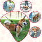 Dog Harness and Leash Set, No Pull Saddle Style Pet Harness, Breathable Mesh Adjustable Reflective Dog Vest for Dogs and Cat Medium Small Harness 2 D-Rings (Black, S)