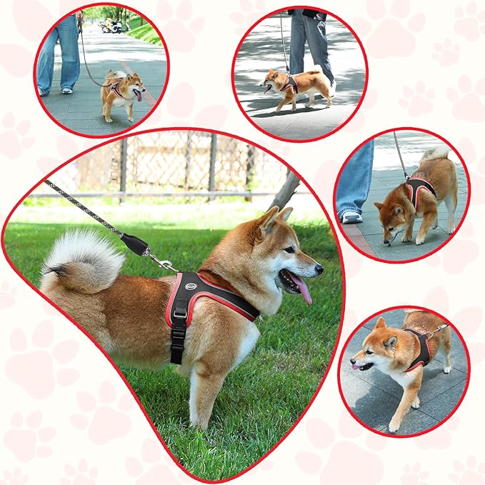 Dog Harness and Leash Set, No Pull Saddle Style Pet Harness, Breathable Mesh Adjustable Reflective Dog Vest for Dogs and Cat Medium Small Harness 2 D-Rings (Black, XS)