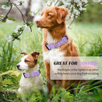 Hikiko Martingale Collar for Dogs Purple Butterfly Nylon Dog Collars with Buckle for Cute Girl Small Medium Large Dogs（Purple Butterfly,Medium）