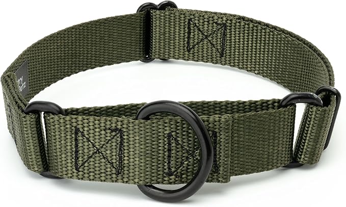 Country Brook Petz - Martingale Dog Collar - Heavy-Duty Training Collar with No Buckle - Service Dog Collar for All Pups - 10+ Cool Colors (Dark Olive Drab, 3/4 Inch, Small)