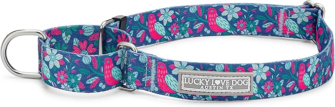 Lucky Love Dog Martingale Dog Collar - Adjustable, No-Slip, Comfortable, Durable, Soft Webbing & Stylish Patterned Collar for Male and Female Dogs Ideal for Training & Walking - Carriebelle, Small
