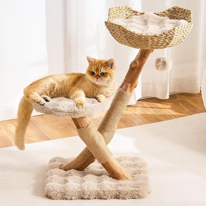 HITTITE Natural Solid Wood Cat Tree Tower with Scratching Post, 32 Inches Tall Modern Cat Tower with Rattan Bed and Platforms, Luxury Real Branch Cat Tree for Indoor Cats Large Adult, Khaki.
