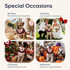 Supet Dog Tuxedo and Bandana Set with Bow Tie, Formal Outfit for Wedding Birthday Party Graduation Valentines, Pet Suit Clothes for Large Medium Small Dogs (Burgundy, L)