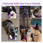 HGB Tough Dog Chew Toys for Aggressive Chewers, Squeaky Indestructible Dog Toy for Large Dogs to Keep Them Busy & Reduce Boredom for Small, Medium, Large Breed, Bacon Flavor